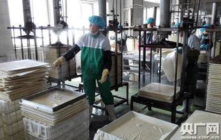 天人和 寧夏食品企業(yè)榮膺中國豆制品樣板工廠，引領(lǐng)健康飲食新風(fēng)尚